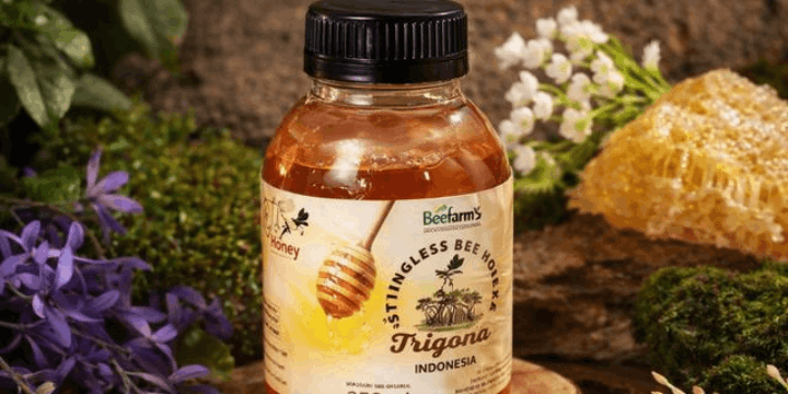 Mengenal BeeFam’s, Pelopor Madu Trigona di Tengah Kota