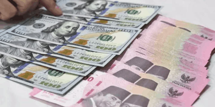 Ketahanan Ekonomi Indonesia di Tengah Gejolak